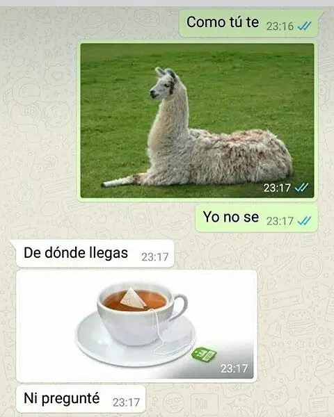 imagenes