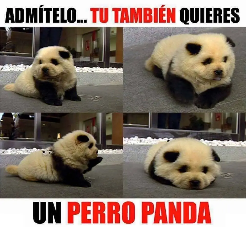 fin de semana