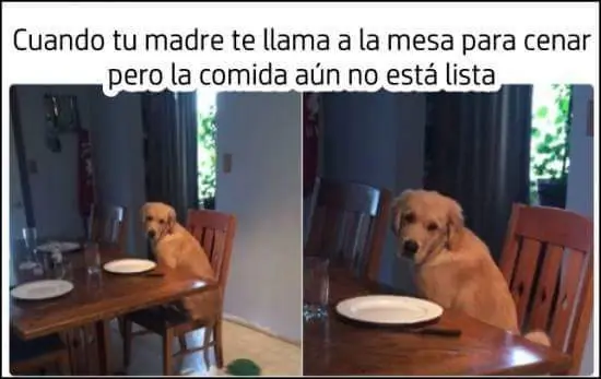 Humor para levantar el viernes
