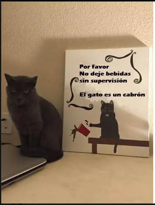 graciosos