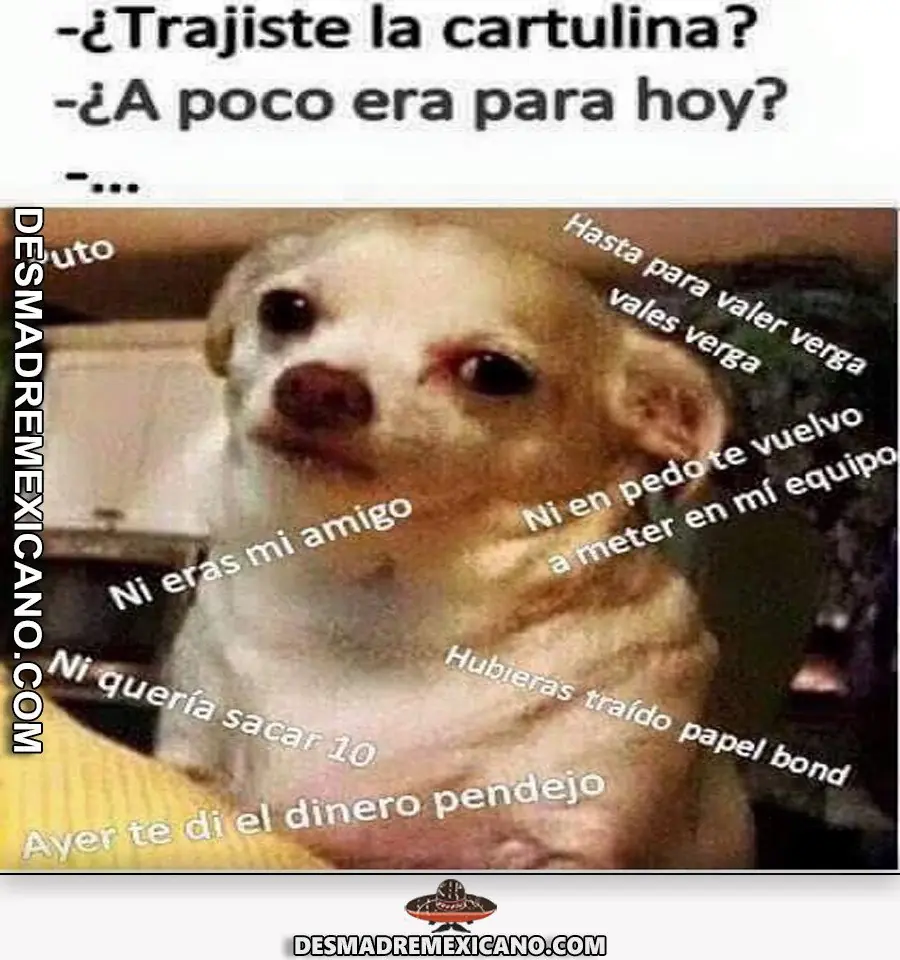imagenes
