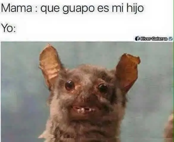 humor