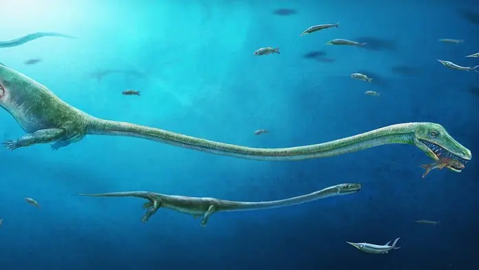 Increible Encuentran Restos de un dinosaurio embarazado