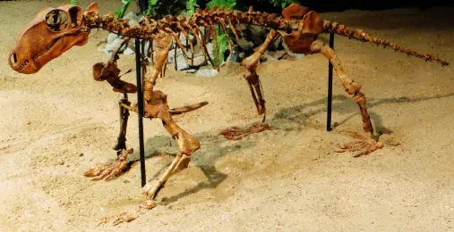 dinosaurios