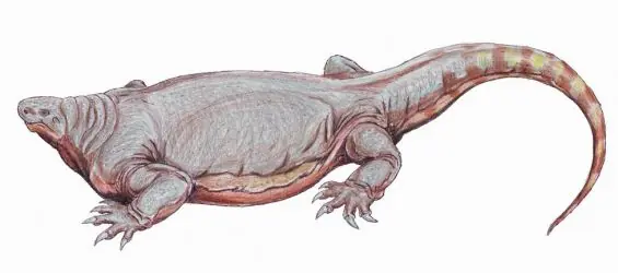 dinosaurios