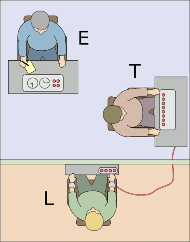 Experimentos