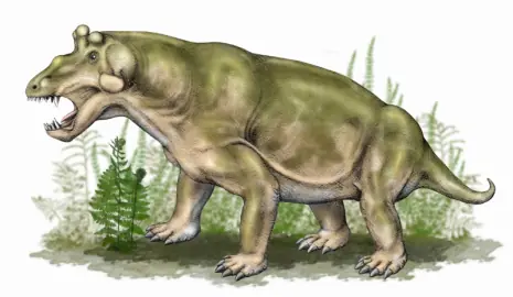 mamiferos