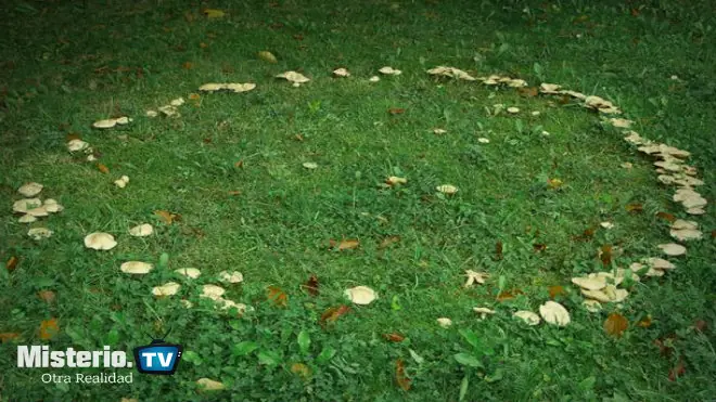 Circulo de hongos: ¿Son estos portales míticos?