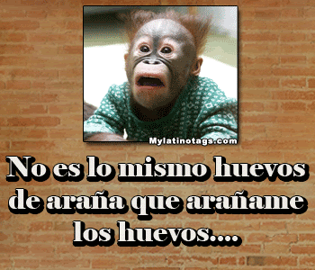 frases
