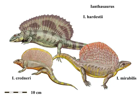 Sinapsidos: Antes que los dinosaurios DOMINASEN LA TIERRA