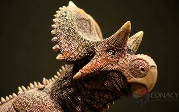 Descubren nuevo Dinosaurio en México