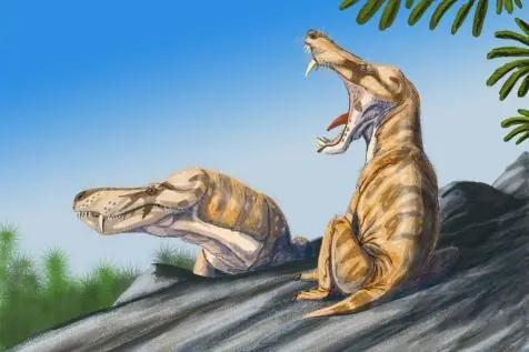 paleozoico