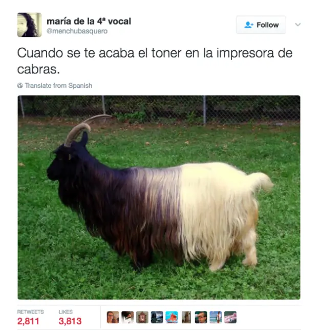 llorar llorar
