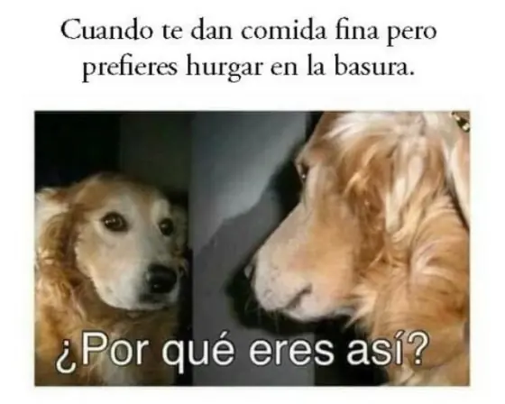 imagenes imagenes