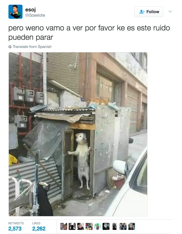imagenes imagenes