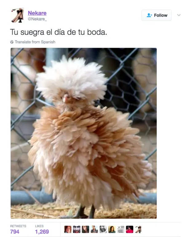 Imágenes que te harán reir hasta llorar lagrimas de sangre Imágenes que te harán reir hasta llorar lagrimas de sangre