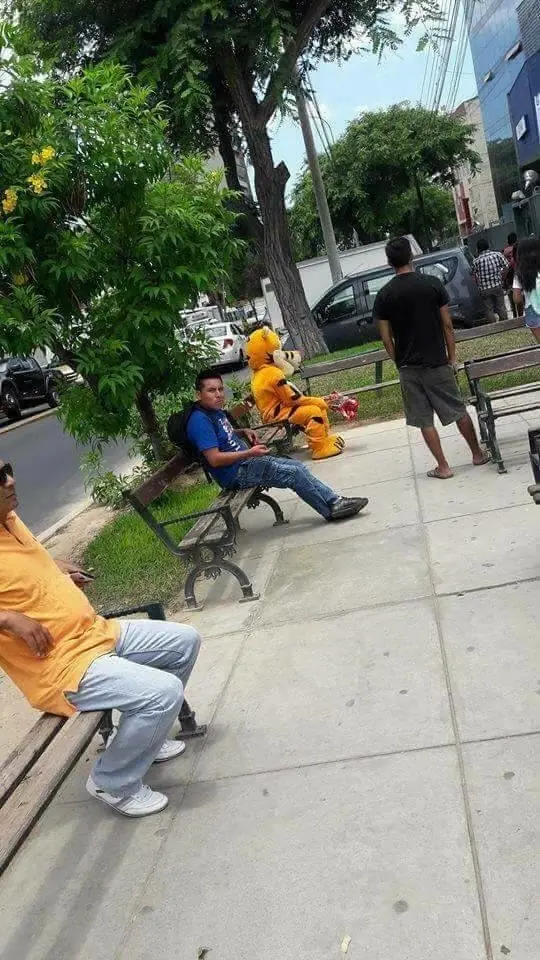 caidos