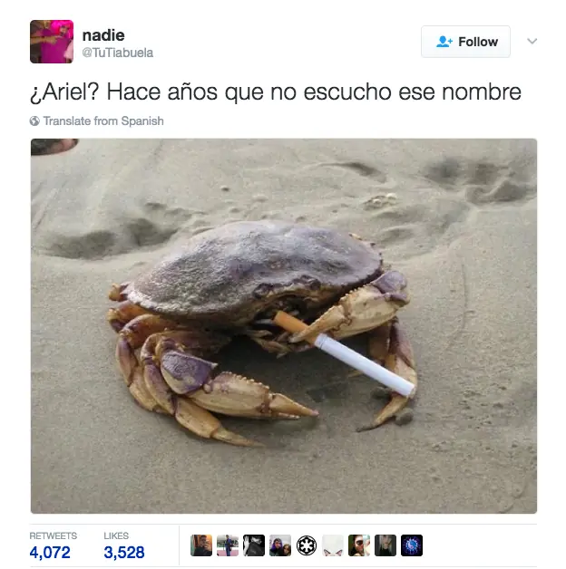 Imágenes que te harán reir hasta llorar lagrimas de sangre Imágenes que te harán reir hasta llorar lagrimas de sangre