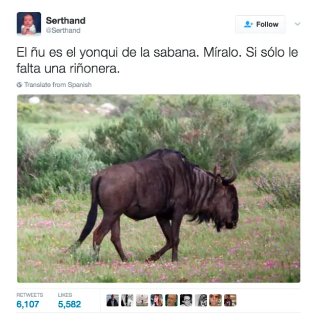 sangre sangre