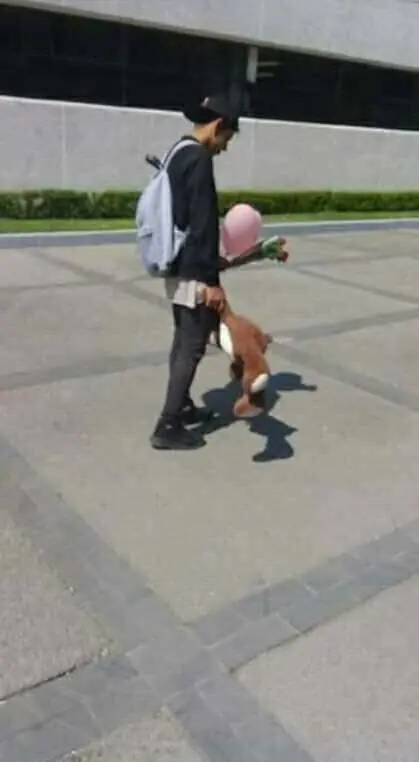 Fotos desgarradoras de soldados caídos en San Valentín
