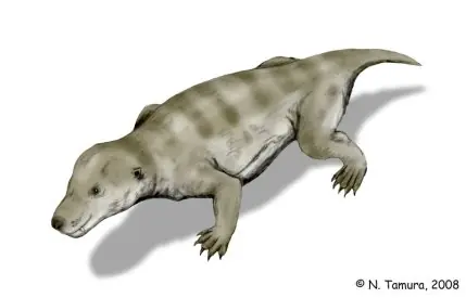 dinosaurios