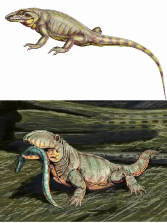 mamiferos