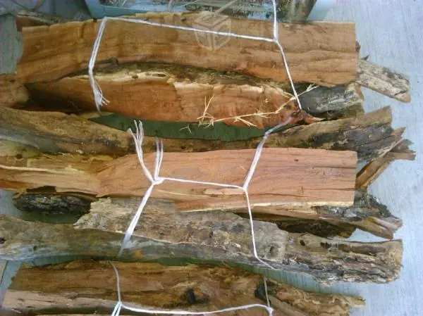 asado
