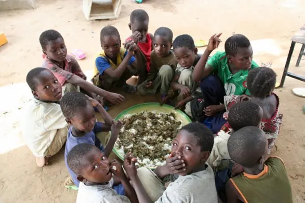 bebes