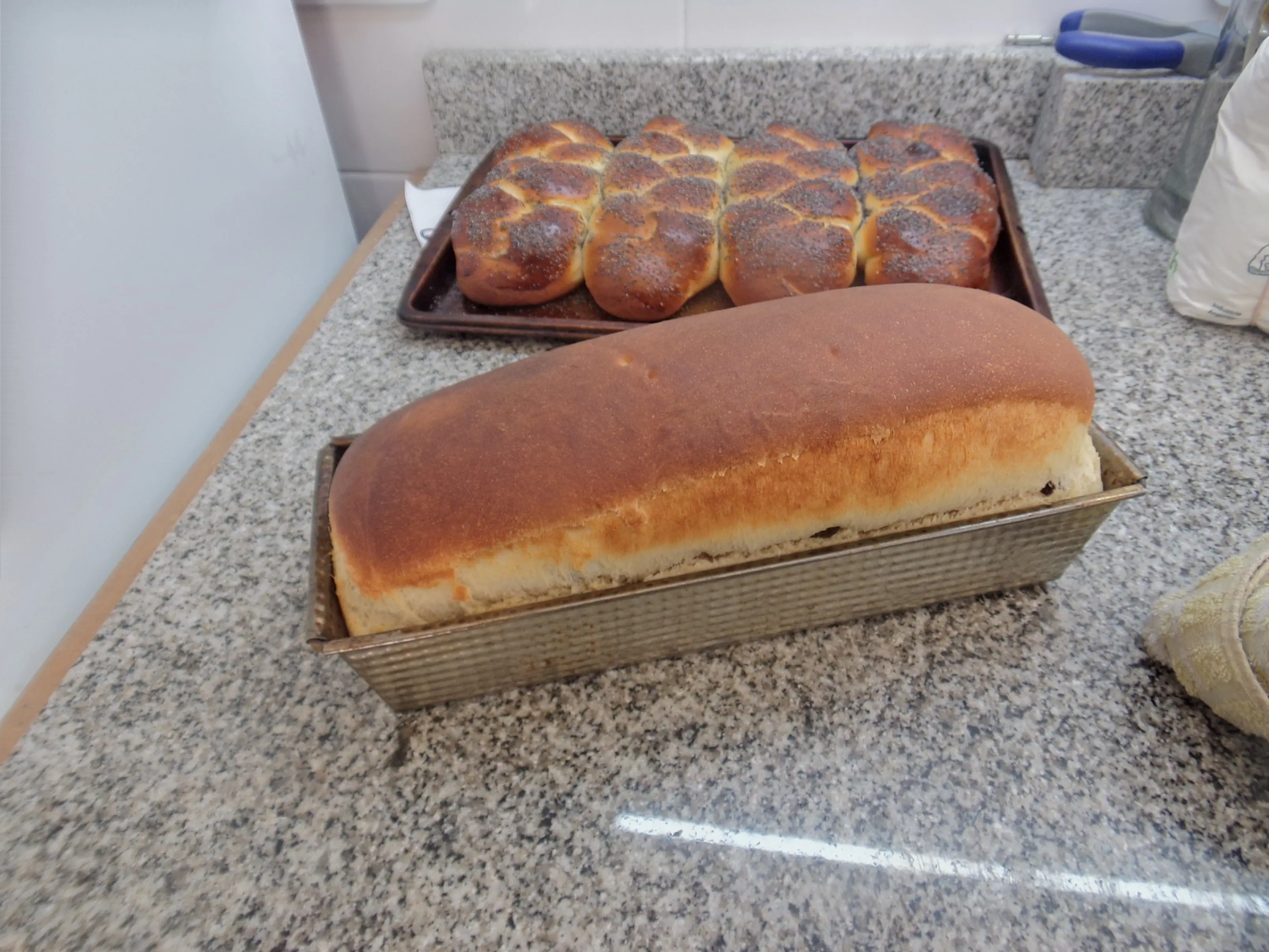 masa