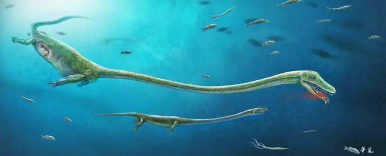 dinosaurio dinosaurio
