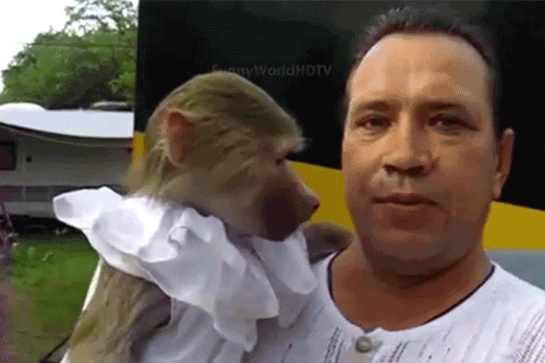 Gifs, gifs y mas gifs