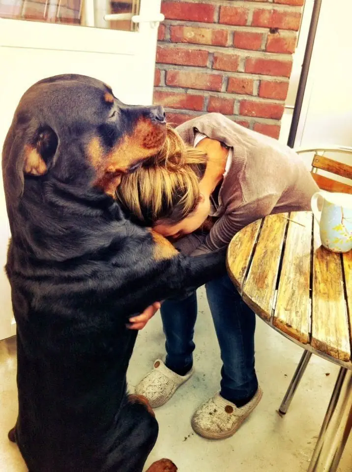 amor