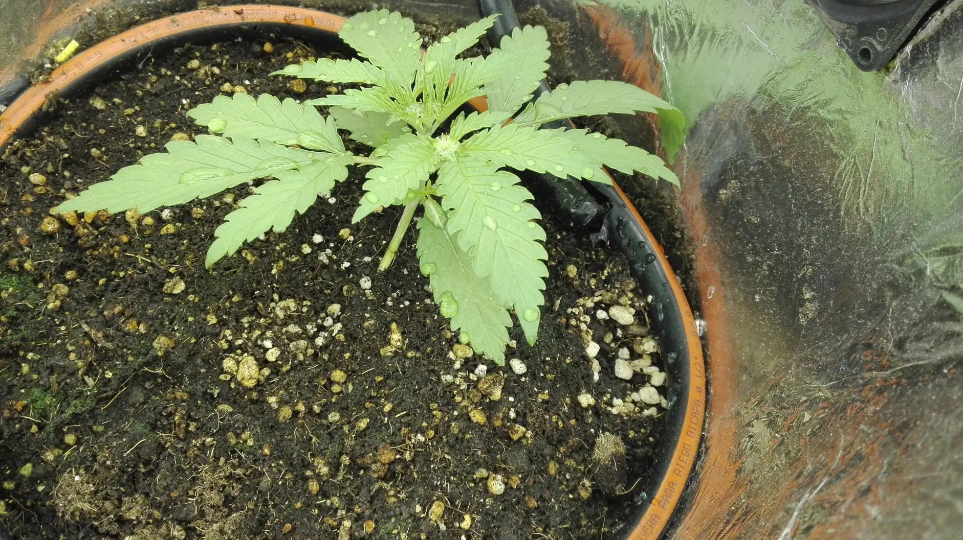 Spacebucket