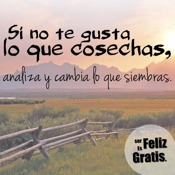 lo importante