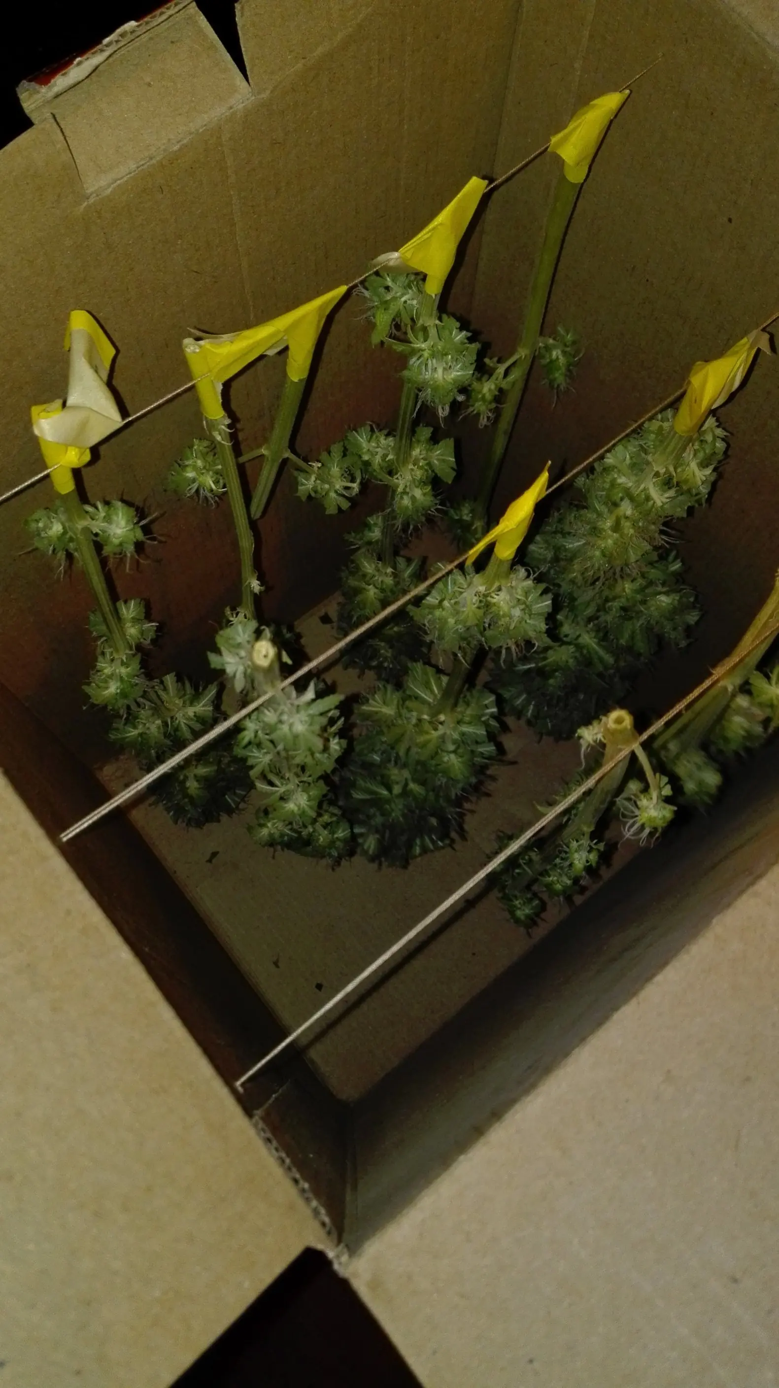 Spacebucket