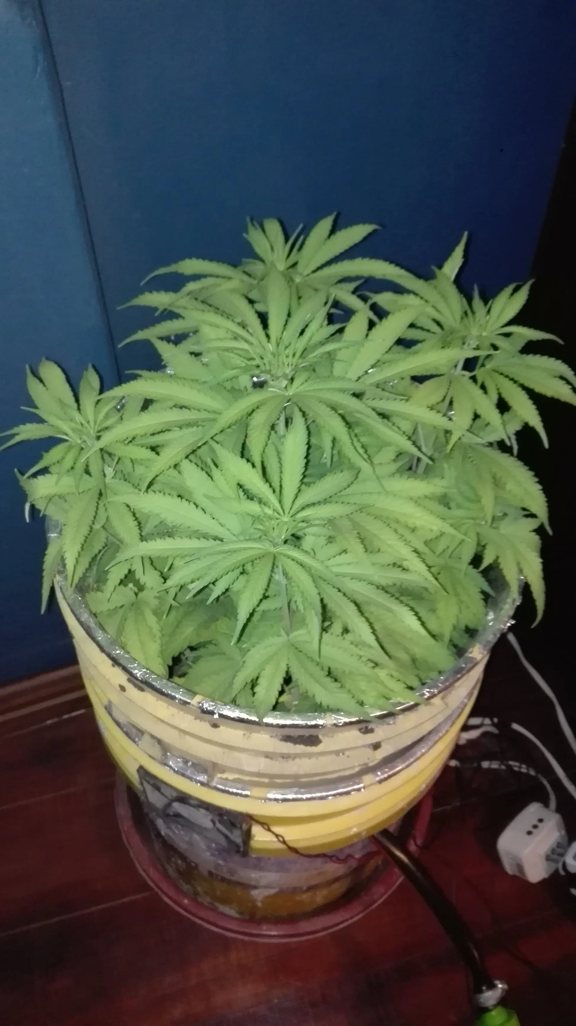 indoor