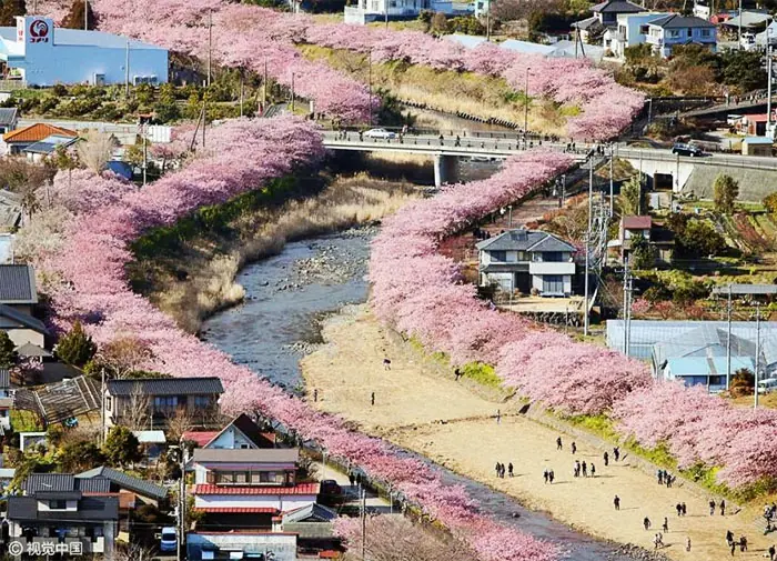 Japon