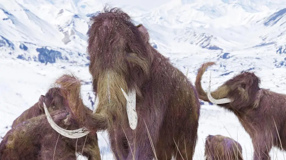 La ciencia está cerca de resucitar al mamut lanudo