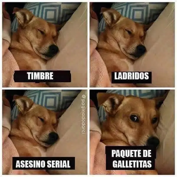chistes graficos