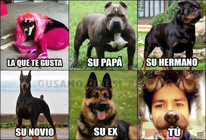 chistes graficos