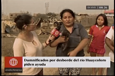 Le da teta a su cerdito y se hace viral (apto)