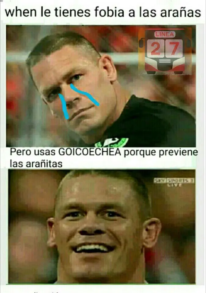 memes