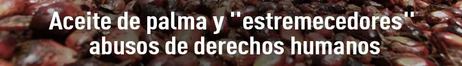 Aceite de palma, el 'asesino invisible' en su cocina