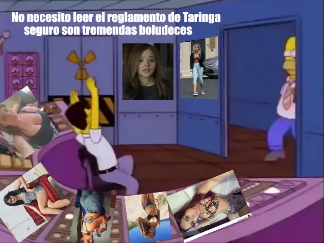 meme simpsons