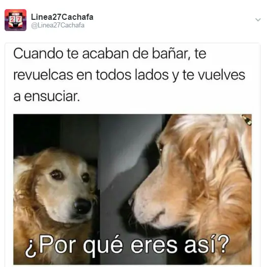 humor