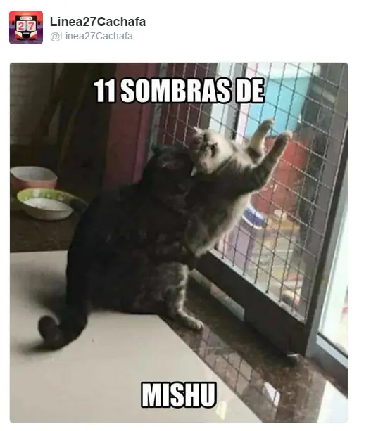 Imágenes de humor nocturno - 1ra parte