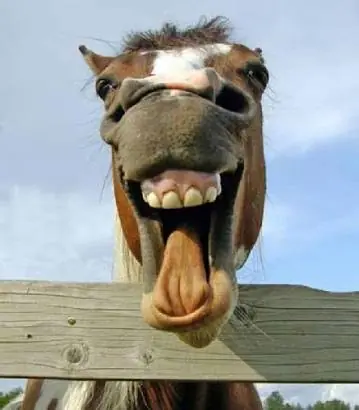 ¿Te beberías un trago de semen de caballo?