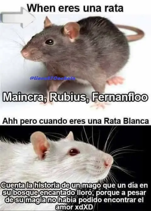 imagenes
