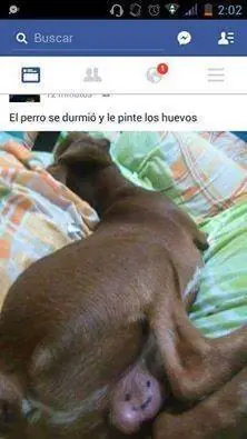 humor paraguayo