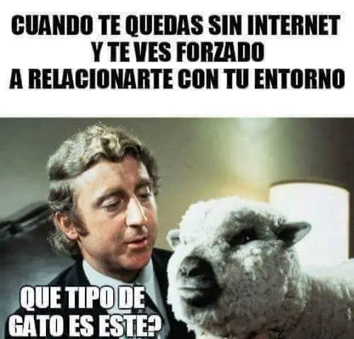 humor paraguayo
